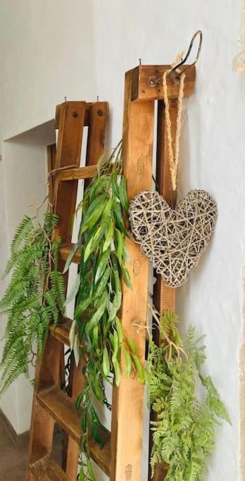 Ses Cases Noves Vakantiehuis *